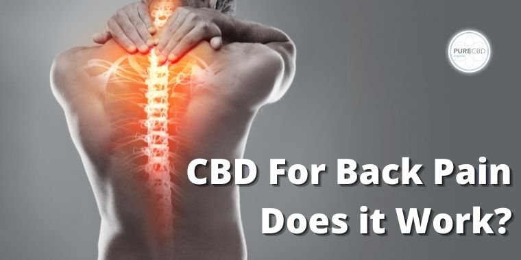 cbd for back pain